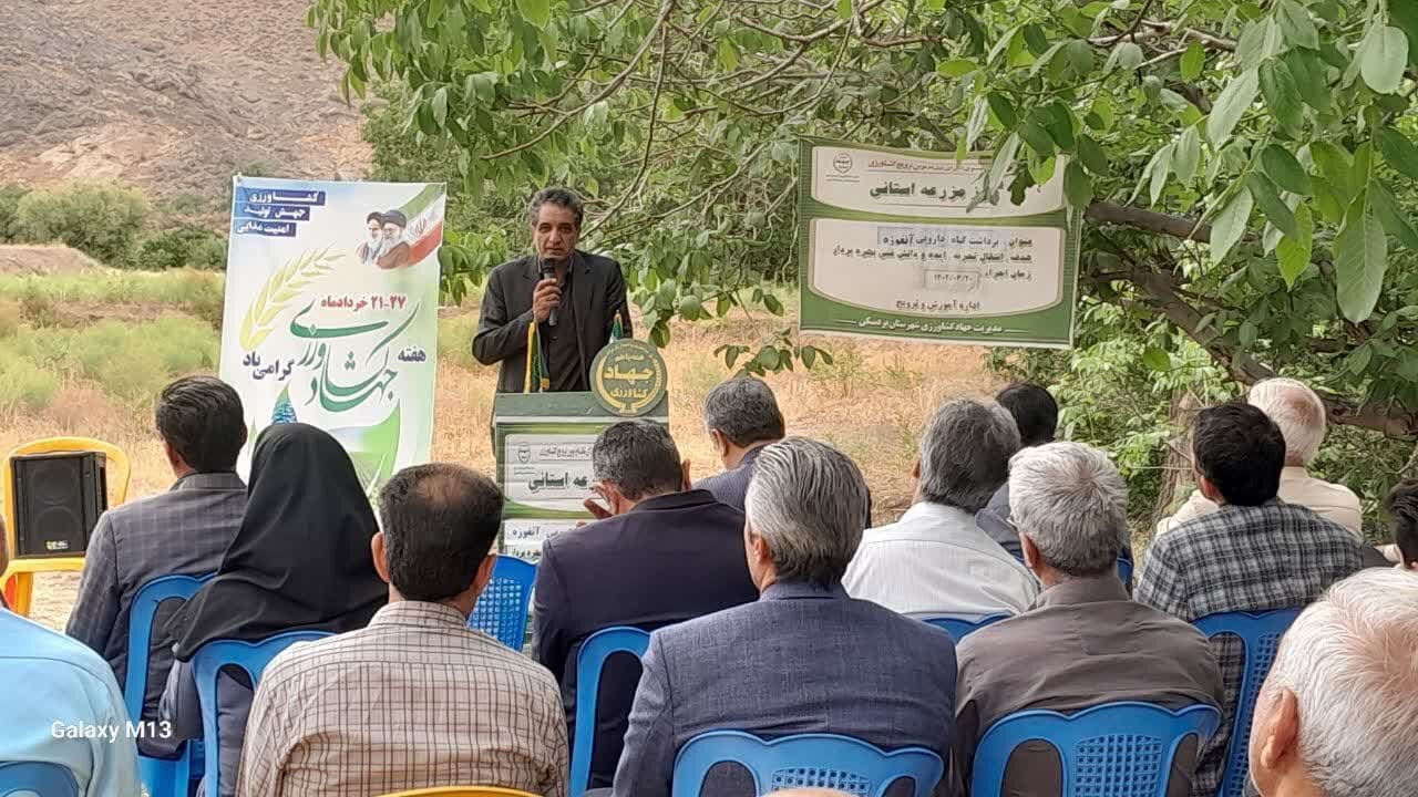 كشاورزي،مزرعه،روز،آنغوزه،بردسكن،جهاد،كشاورزان،زيره،گياه،ترويج