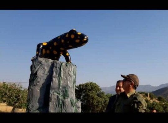 المان سمندر آتشین در روستای هزارخانی سروآباد رونمایی شد