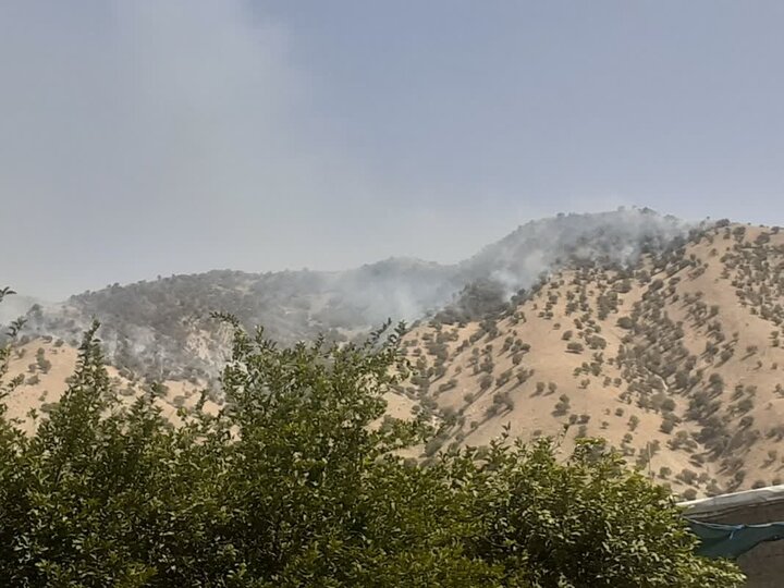 آتشسوزی جنگلهای «مورانی» وارد دومین روز شد