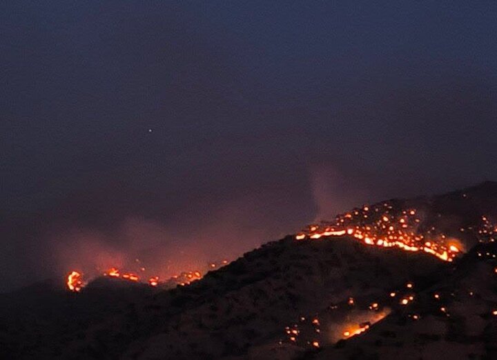 جنگلهای پلدختر همچنان در آتش میسوزند+ تصاویر