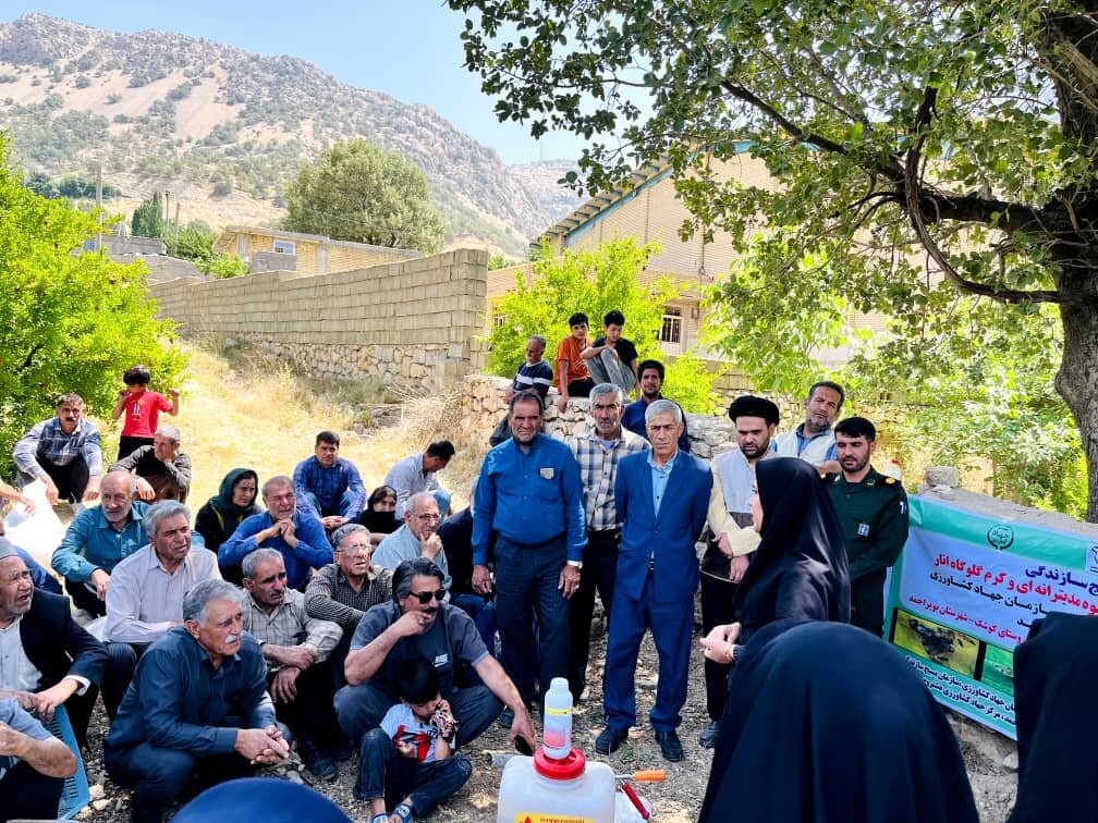 انار،باغات،آفت،باغداران،مهندسين،بويراحمد،كوشك،گلوگاه
