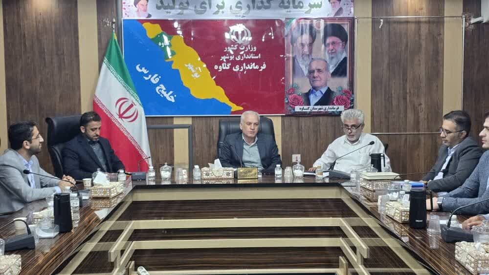 فرودگاه،شهرستان،گناوه،هواپيمايي،سازمان،كشور،احيا،كارشناسان،ف ...