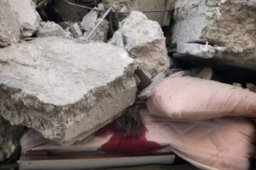 Iranian poet Parniya Abbasi among civilians killed in Israeli strikes on Tehran