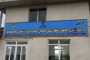 شیلات محور توسعه پایدار اقتصاد دریایی؛ از احیای خزر تا صادرات به بازار