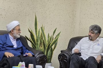 مجلس و کمیسیون انرژی با تمام ظرفیت در کنار مجموعه وزارت نفت خواهند بود