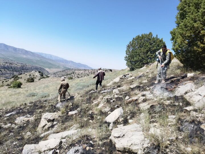 آتشسوزی در منطقه گلیل و سرانی مهار شد