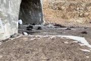 تجاوز کور رژیم صهیونیستی به آغل احشام در اسکو