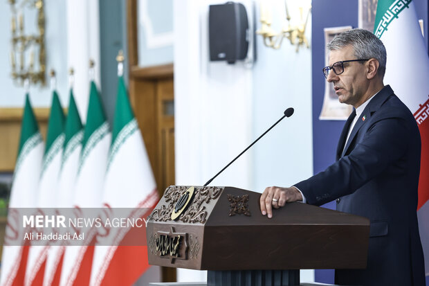 نشست خبری سخنگوی وزارت امور خارجه