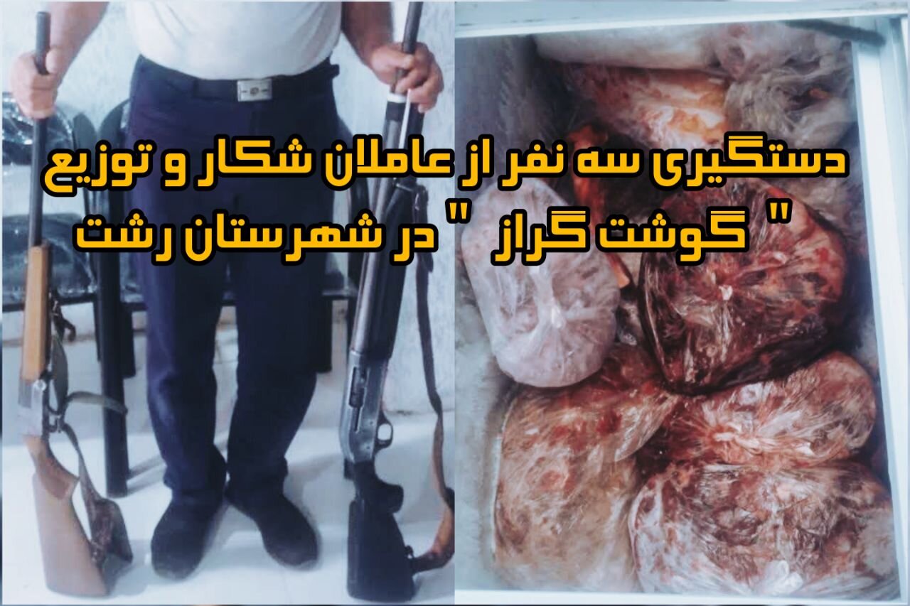 بیش از ۲۰۰ کیلو گوشت گراز در رشت کشف شد