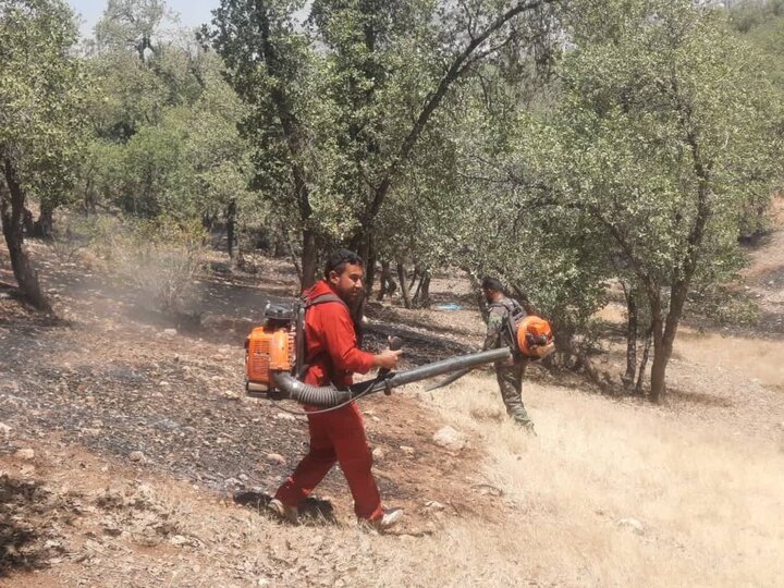 ۳۰ هکتار از باغات انار گلوگاه طعمه حریق شد