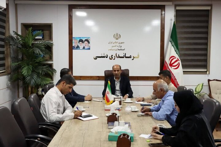 بازار دشتی بهصورت مستمر و میدانی رصد شود