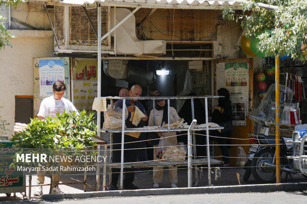 شیراز؛ زندگی ادامه دارد
