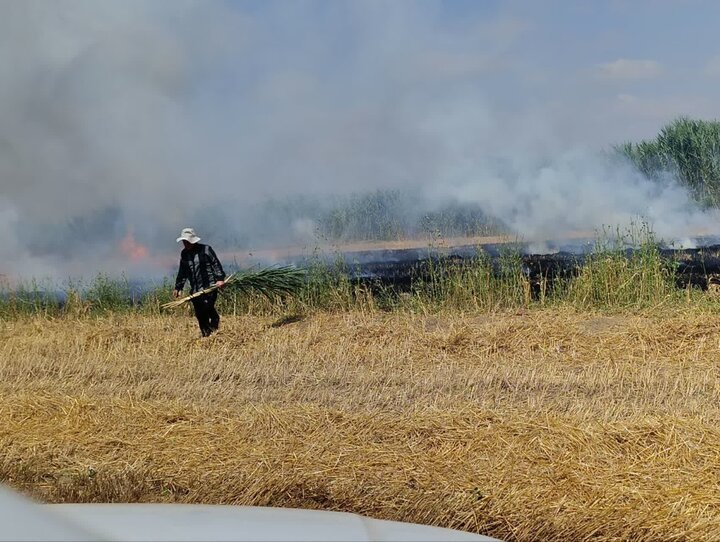 زمین میسوزد و هوا مینالد؛دودِ پسماند برداشت محصول نفس طبیعت را برید!
