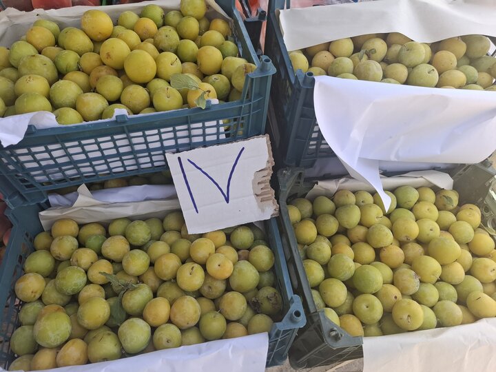 روایت میدانی خبرنگار مهر از آرامش در دوشنبه بازار بجنورد