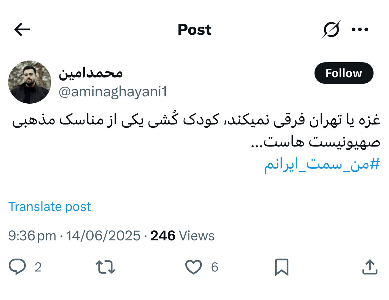 بازخوانی یک موج ملی در فضای مجازی؛ من سمت ایرانم
