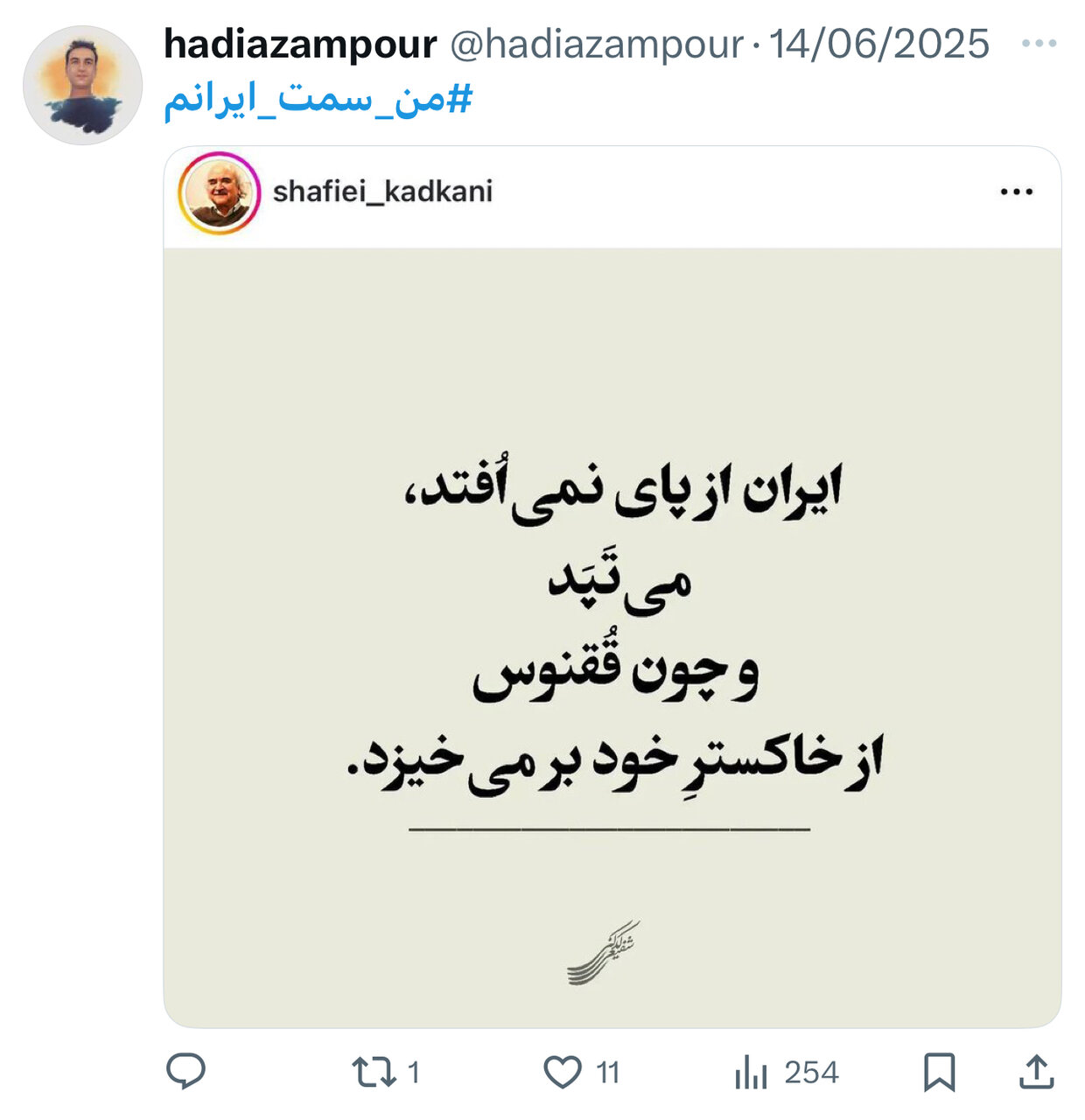 بازخوانی یک موج ملی در فضای مجازی؛ من سمت ایرانم