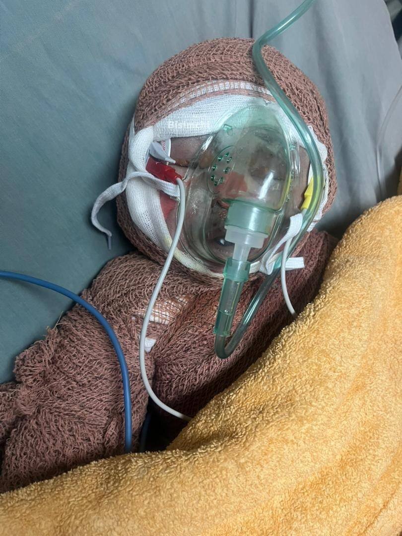 کیان ۵ ساله، برادر رایان دوماهه به خانواده شهیدش پیوست