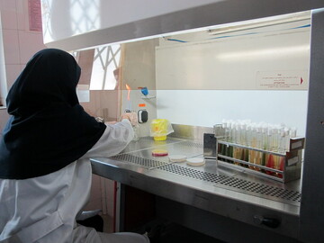 انجام بیش از ۳ هزار آزمایش در مرکز ملی بررسی و تشخیص بیماری‌های میگو