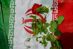 اسرائیلی فضائی حملوں میں ایران بھر میں 627 افراد شہید، 4,870 زخمی ہوگئے، ایرانی وزارت صحت
