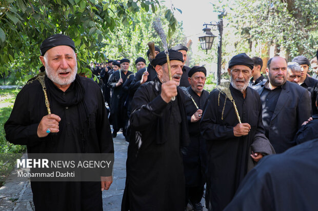 آئین سنتی «طشت گذاری» در بقعه شیخ صفی الدین اردبیل