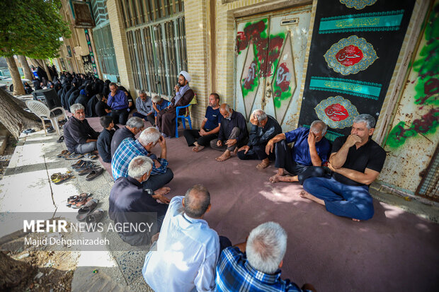 آیین نخل‌بندی؛ نیایشِ قامت‌های چوبی در مهریز