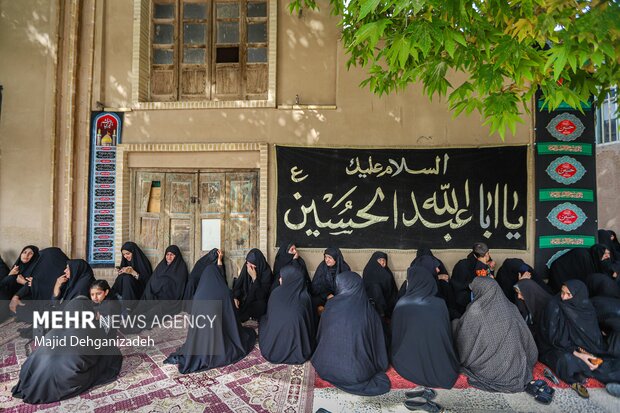 آیین نخل‌بندی؛ نیایشِ قامت‌های چوبی در مهریز