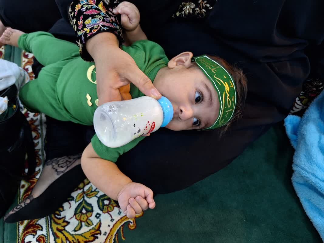 همایش شیرخوارگان حسینی در گناوه برگزار شد