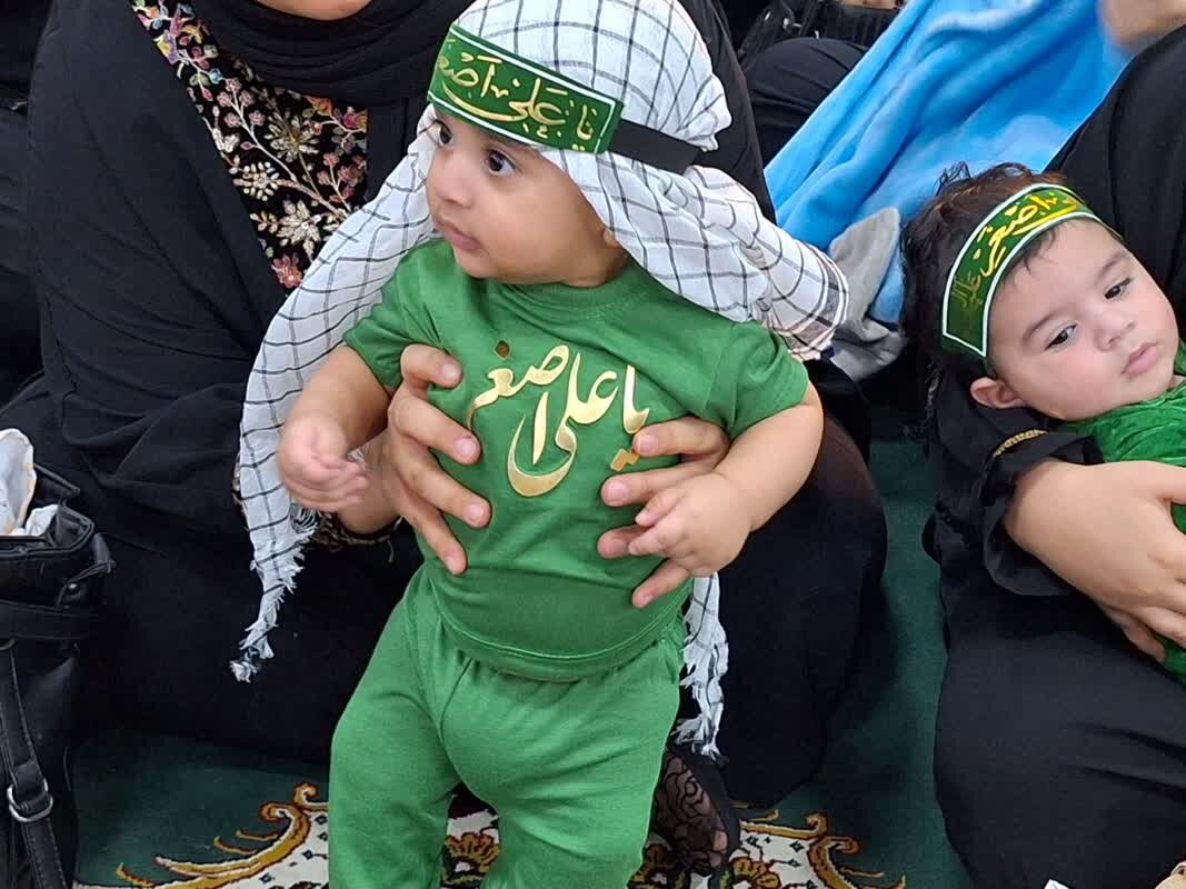 همایش شیرخوارگان حسینی در گناوه برگزار شد