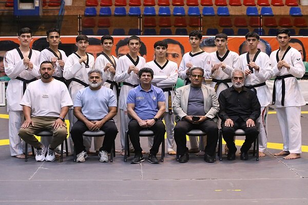 محمد،تيم،تكواندو،امير،نوجوانان،فني،مسابقات،دوره،ملي