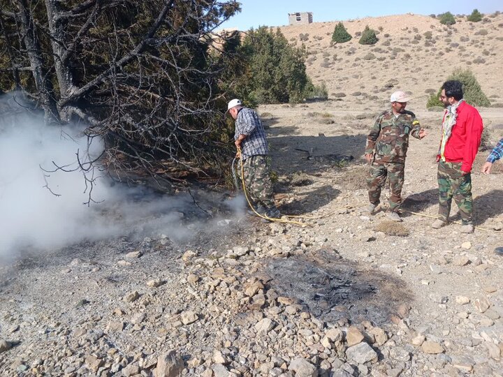 بیاحتیاطی گردشگران بلای جان درختان اورس شد؛مهار آتش در چهارباغ شاهرود