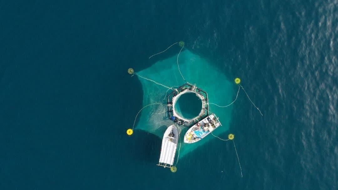 لزوم تقویت اقتصاد دریا محور در تنگستان؛ آبزیپروری حمایت شود