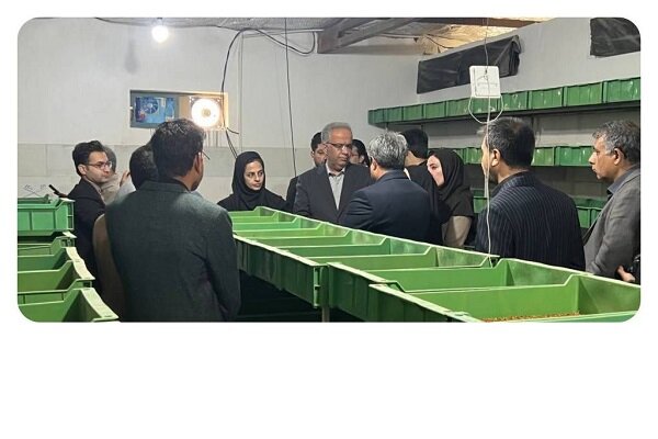 اشتغال،كشاورزي،بلوچستان،سيستان،خانگي،دام