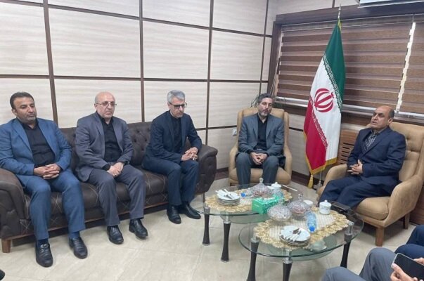 سخنگوی وزارت امور خارجه با تنها بازمانده خانواده شهید صدیقی دیدار کرد