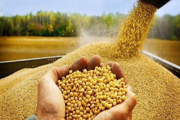 روستايي،البرز،مصدقي،عباسي،اقلام