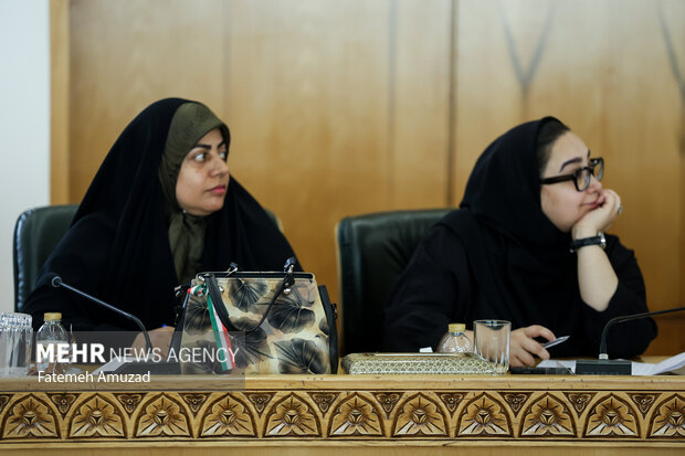 نشست خبری سخنگوی دولت 13