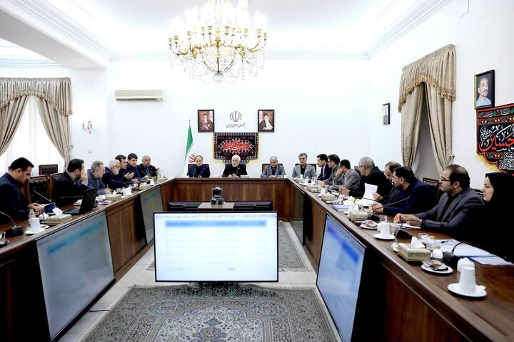 عارف: راهبرد دولت، تداوم پرداخت تسهیلات خرد برای اشتغال پایدار است