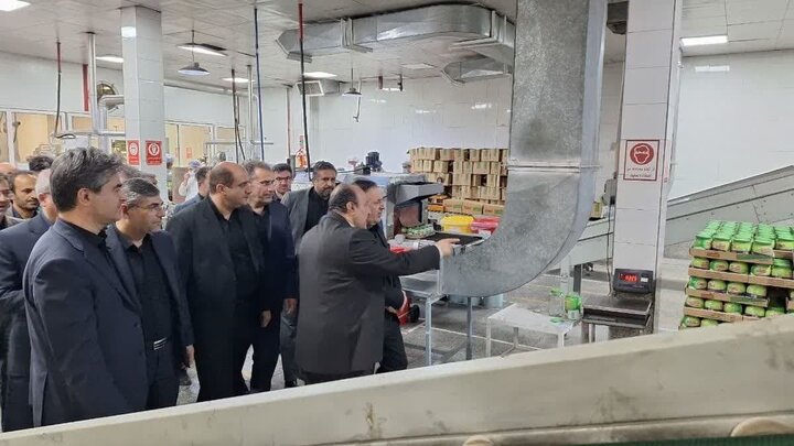 بازدید استاندار قزوین از ۲ واحد تولیدی مواد غذایی