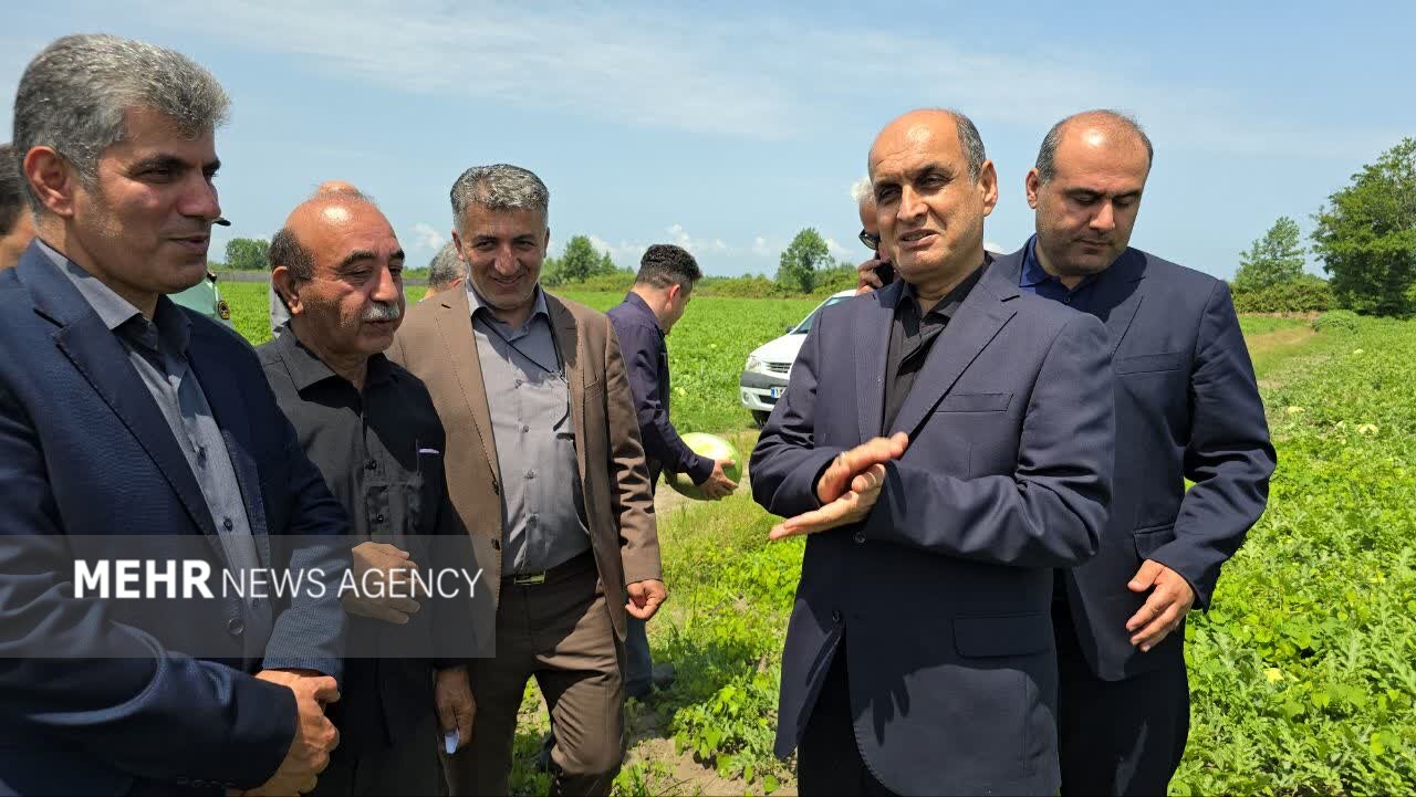 ظرفیتهای صادراتی محصولات کشاورزی گیلان باید فعال شود ظرفیتهای صادراتی محصولات کشاورزی گیلان باید فعال شود