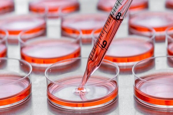 هشدار درباره سوءاستفاده تبلیغاتی از «سلولدرمانی»