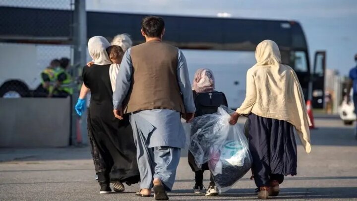 دعوت شهرداری از دانشگاه تهران برای مطالعه چالشهای اجتماعی اتباع