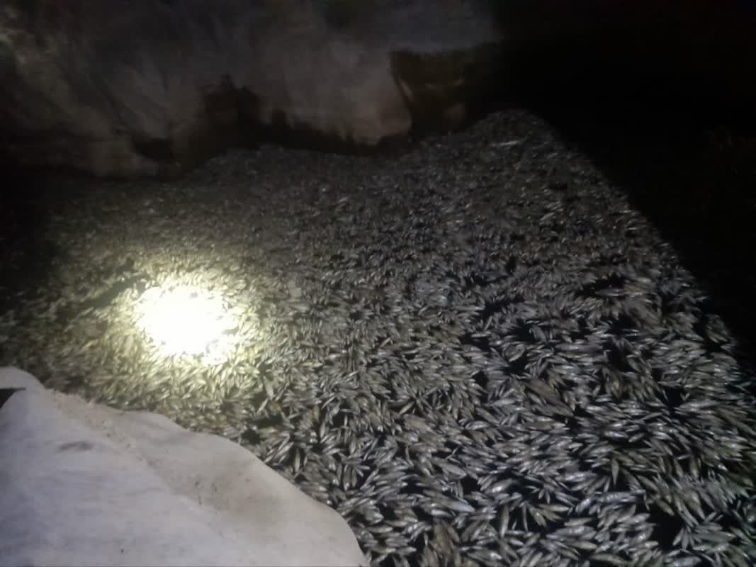 خشکسالی در پلدختر میتازد/ آب از سر «کشکان» گذشت!