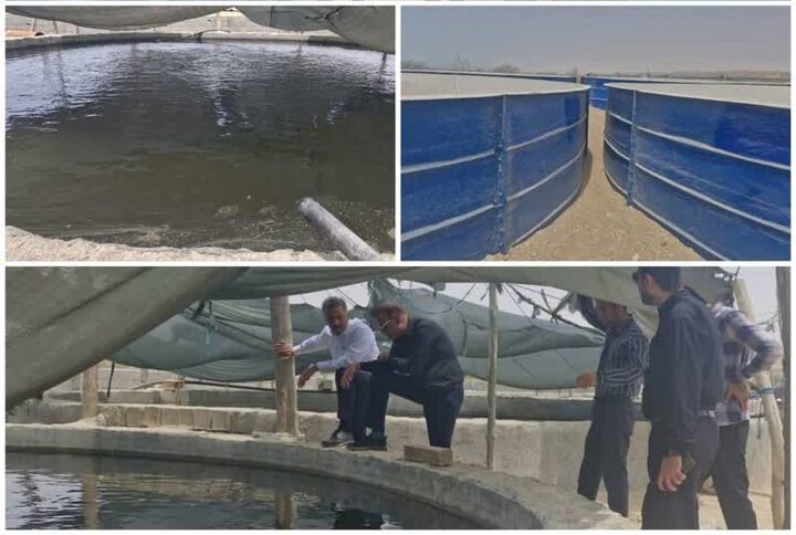 سرمایهگذاری ۷۰ میلیارد ریالی در استخرهای پیشساخته پرورش ماهی «دیر»
