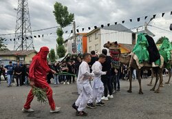 عاشورای حسینی در طاهرگوراب با شور و شکوه خاص برگزار شد
