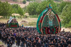 آیین عزاداری و نخل برداری روز عاشورا در روستای علی آباد تفت