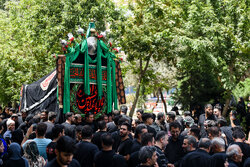 نخل‌گردانی روز عاشورا در تکیه چالِ دولاب