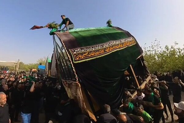 سرخه در سوگ یاران حسین(ع)؛ آیین نخلگردانی عاشورایی با نوای سینهزنی