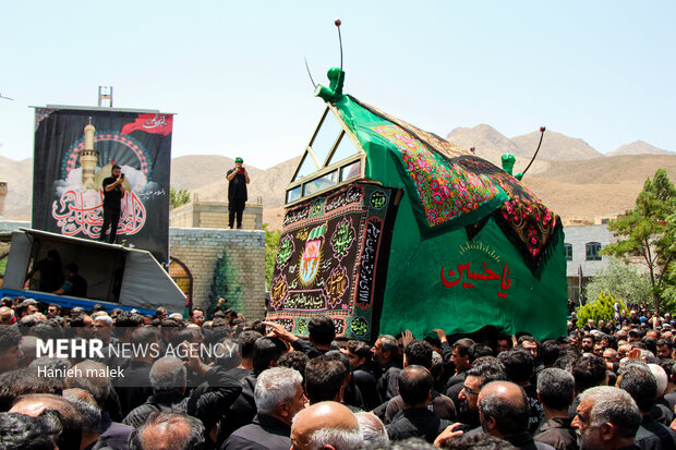 «نخل گردانی» عاشورای حسینی در مجن