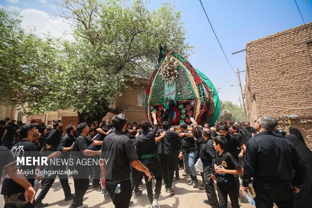 آیین عزاداری و نخل برداری روز عاشورا در روستای علی آباد تفت