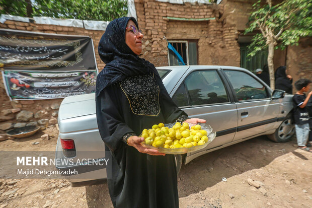آیین عزاداری و نخل برداری روز عاشورا در روستای علی آباد تفت