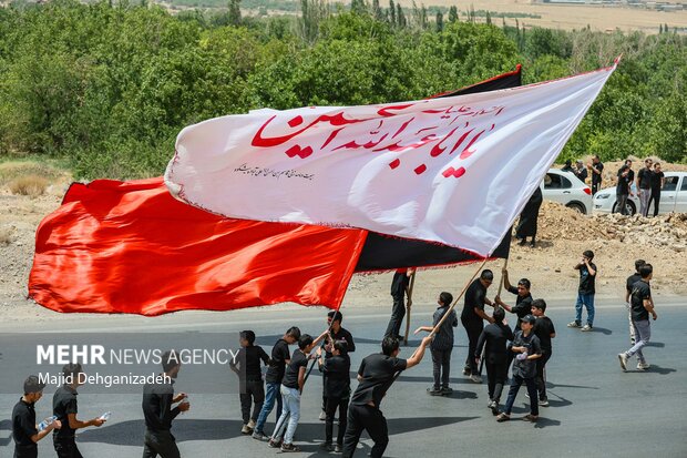 آیین عزاداری و نخل برداری روز عاشورا در روستای علی آباد تفت